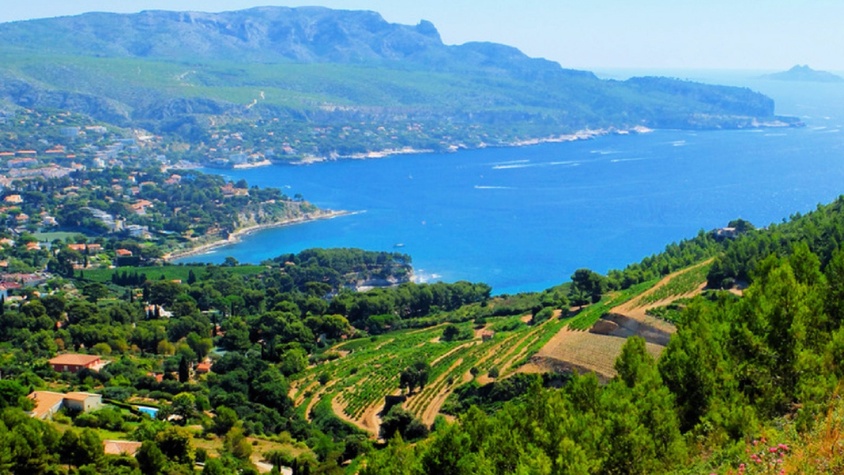 Wine Tour : Vins de Cassis