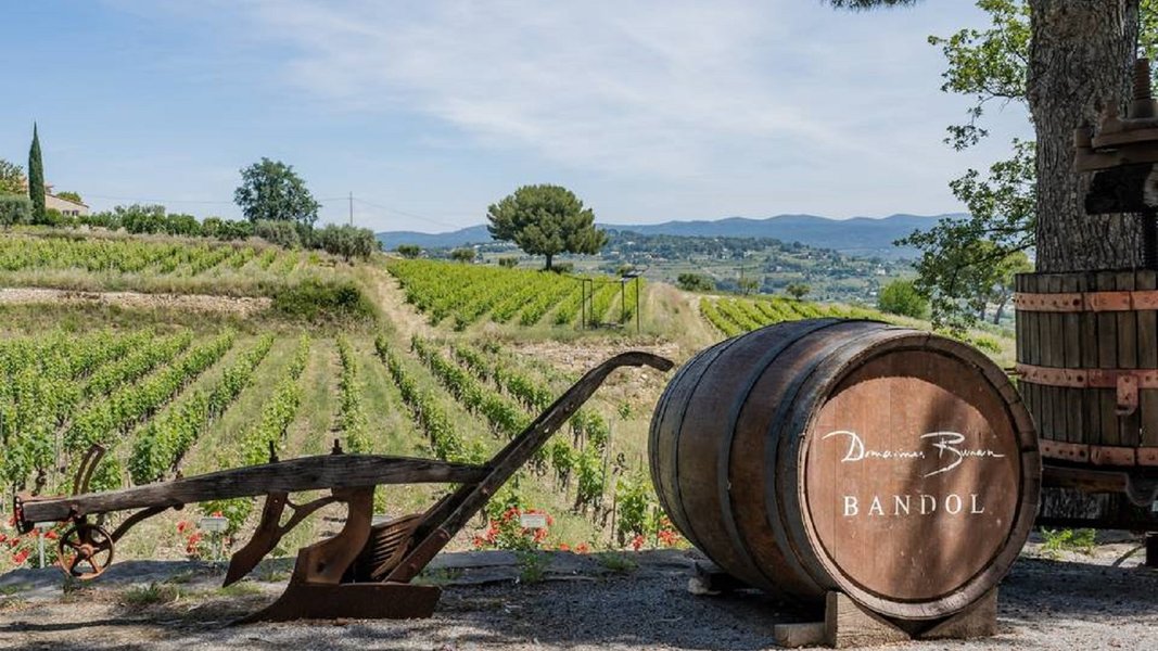 Wine Tour Bandol : Domaines Bunan