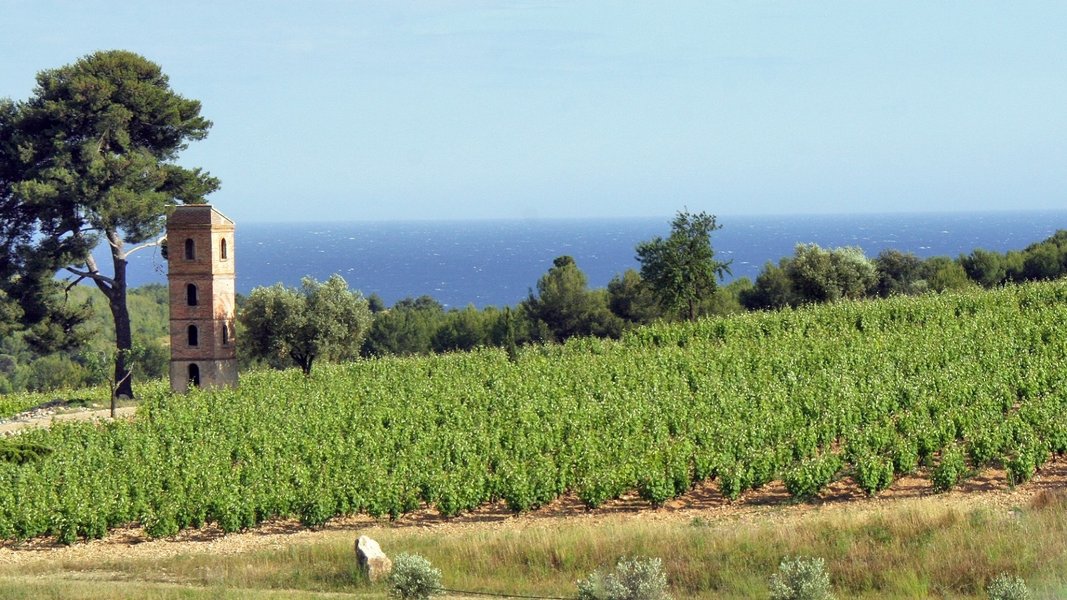 Wine Tour Bandol : Domaine de Frégate