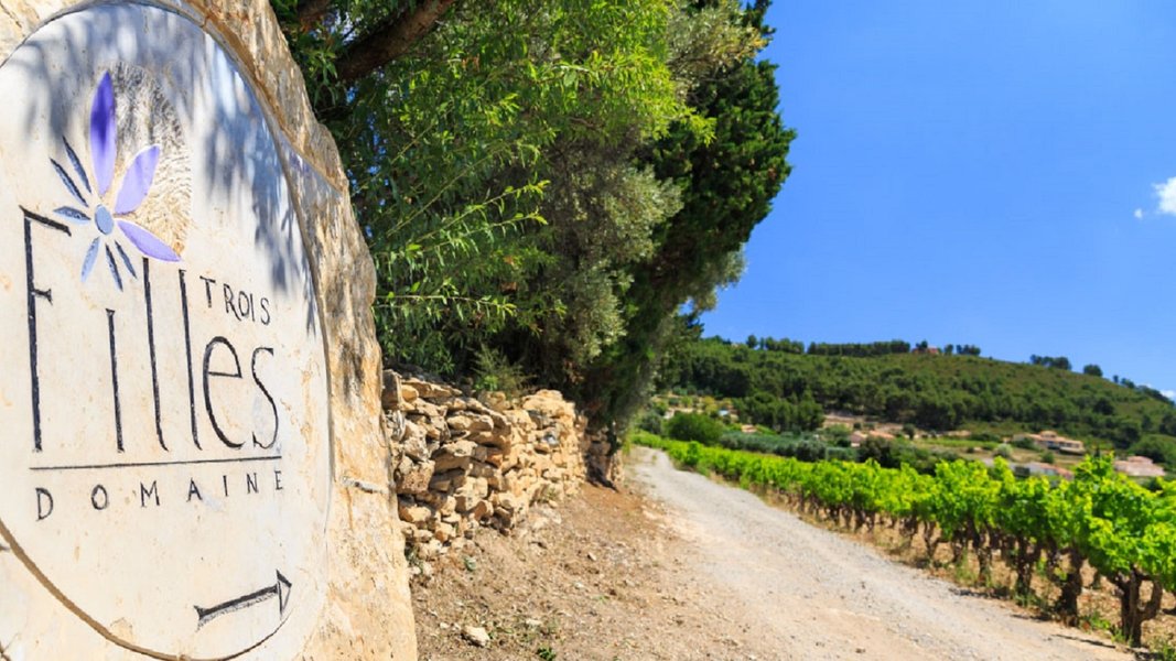 Wine Tour Bandol : Domaine des 3 Filles